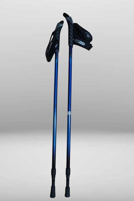 Kije do Nordic Walking Italbastoni Teen Spirit